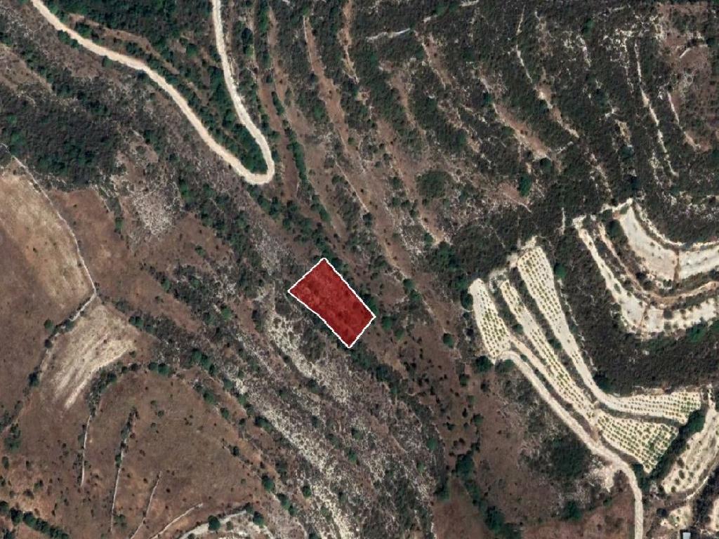 Field-Vouni-PR36482
