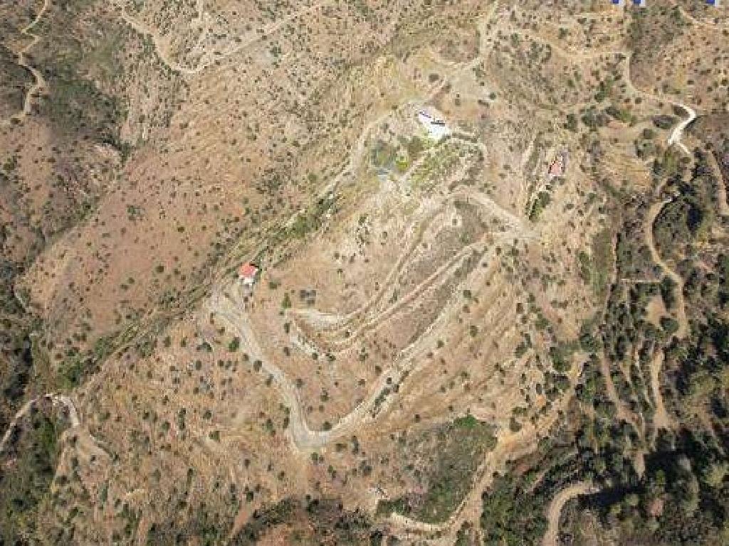 Field-Ora-PR36399