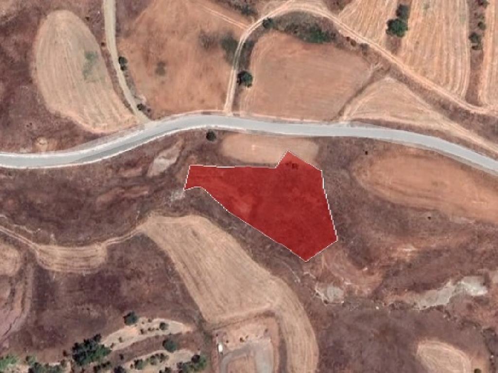 Field-Choletria-PR36215