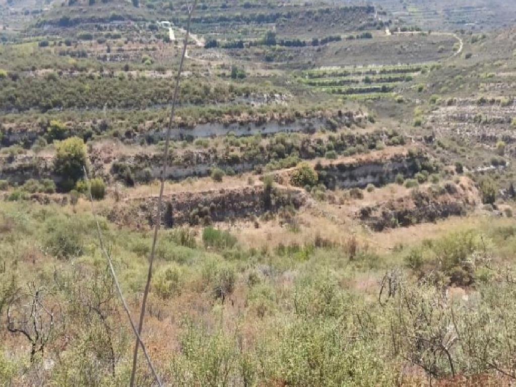 Field-Pachna-PR39670