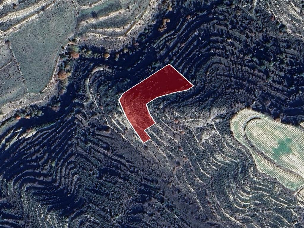 Field-Pachna-PR39670