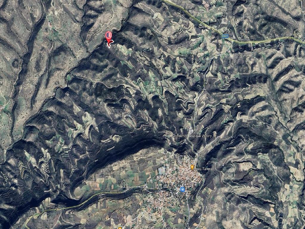 Field-Pachna-PR39670
