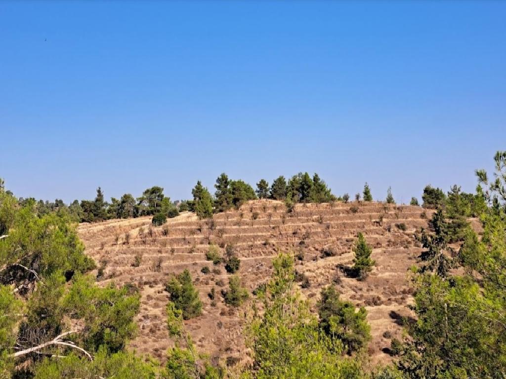 Field-Agios Epifanios (Oreinis)-PR39837