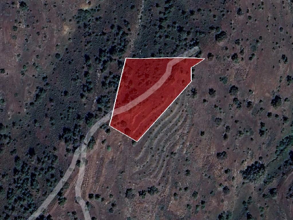 Field-Agios Epifanios (Oreinis)-PR39837