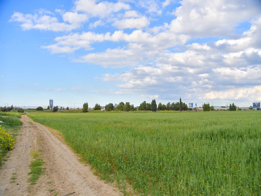 Field (Share) - Dromolaxia, Larnaca