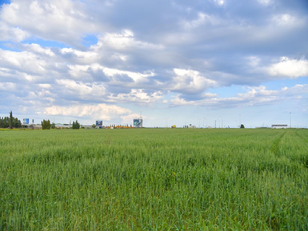 Field (Share) - Dromolaxia, Larnaca