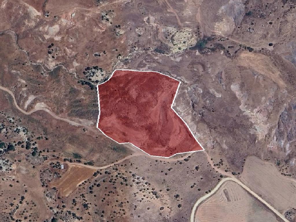 Field-Choletria-PR41141