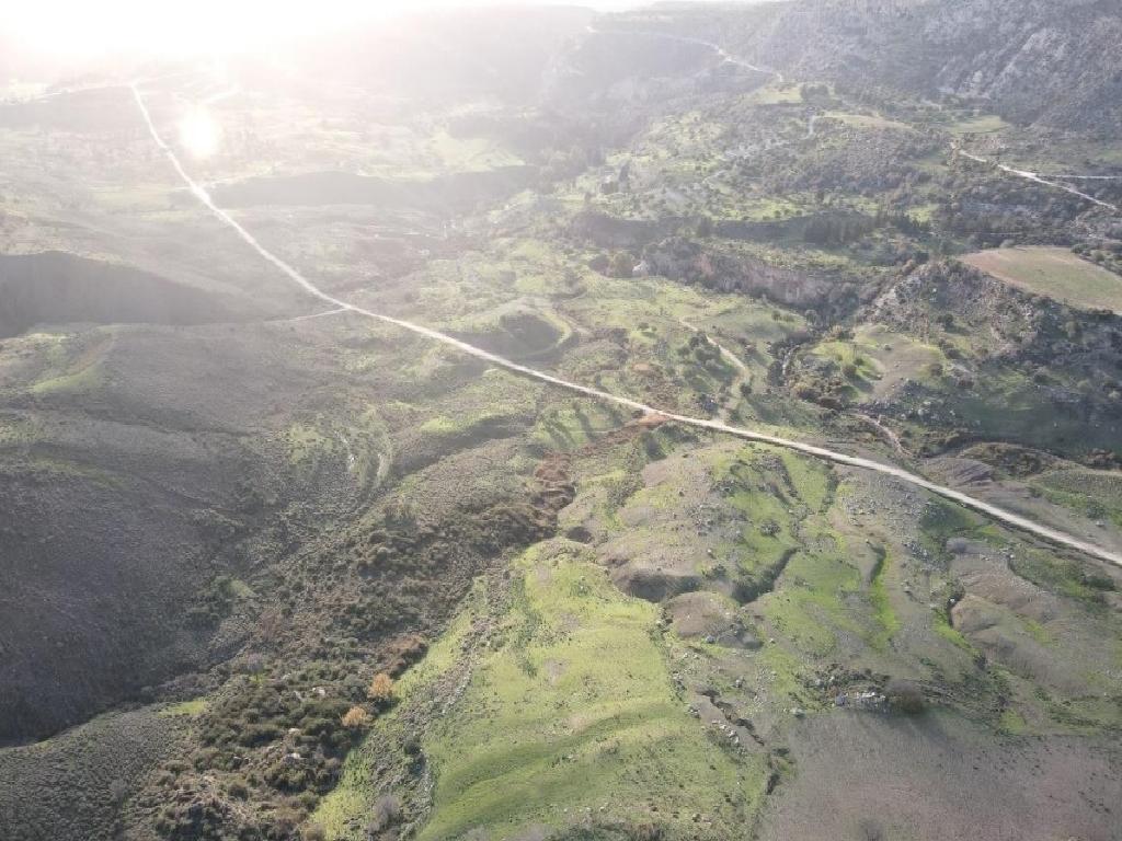 Field-Pano Arodes-PR41865