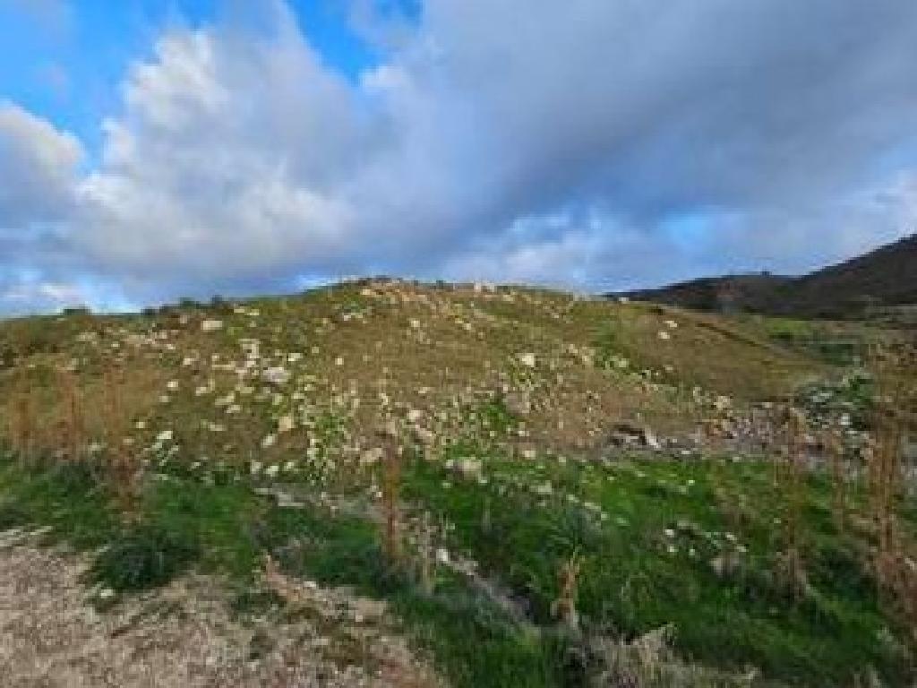 Field - Pano Arodes, Paphos