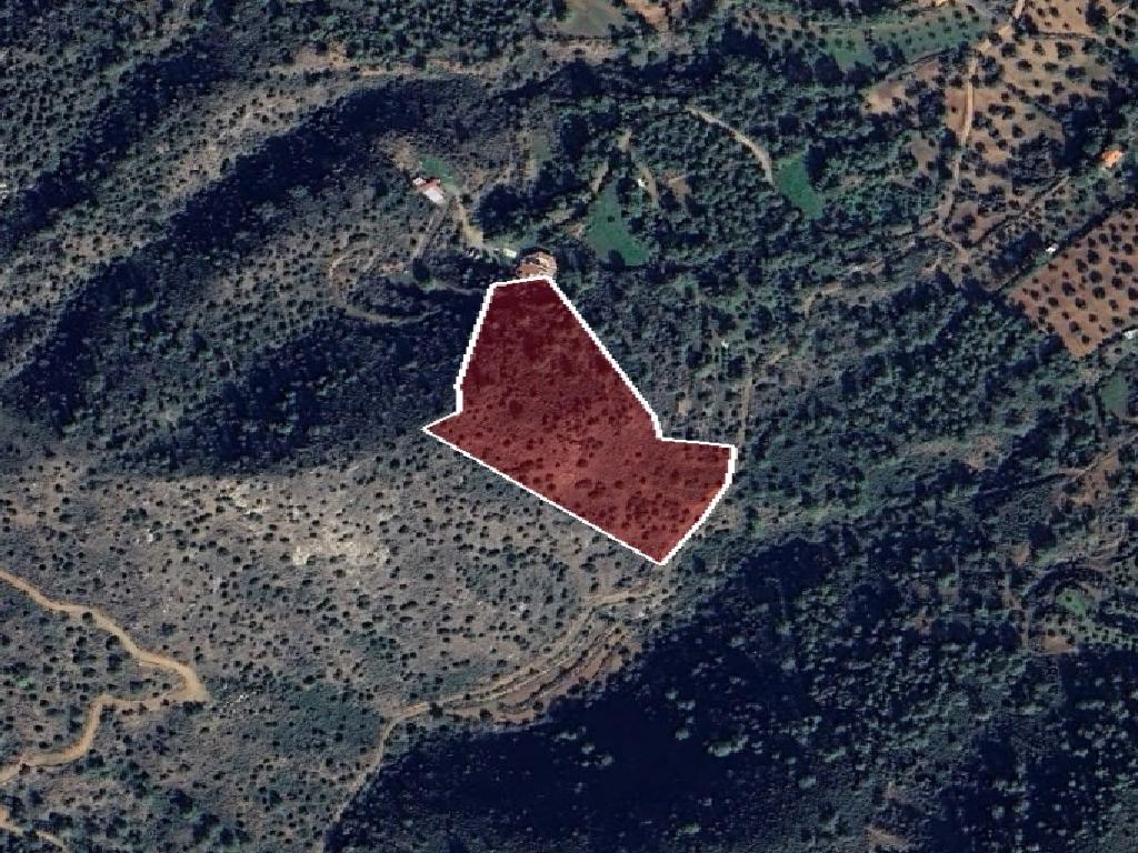 Field - Lythrodonta, Nicosia