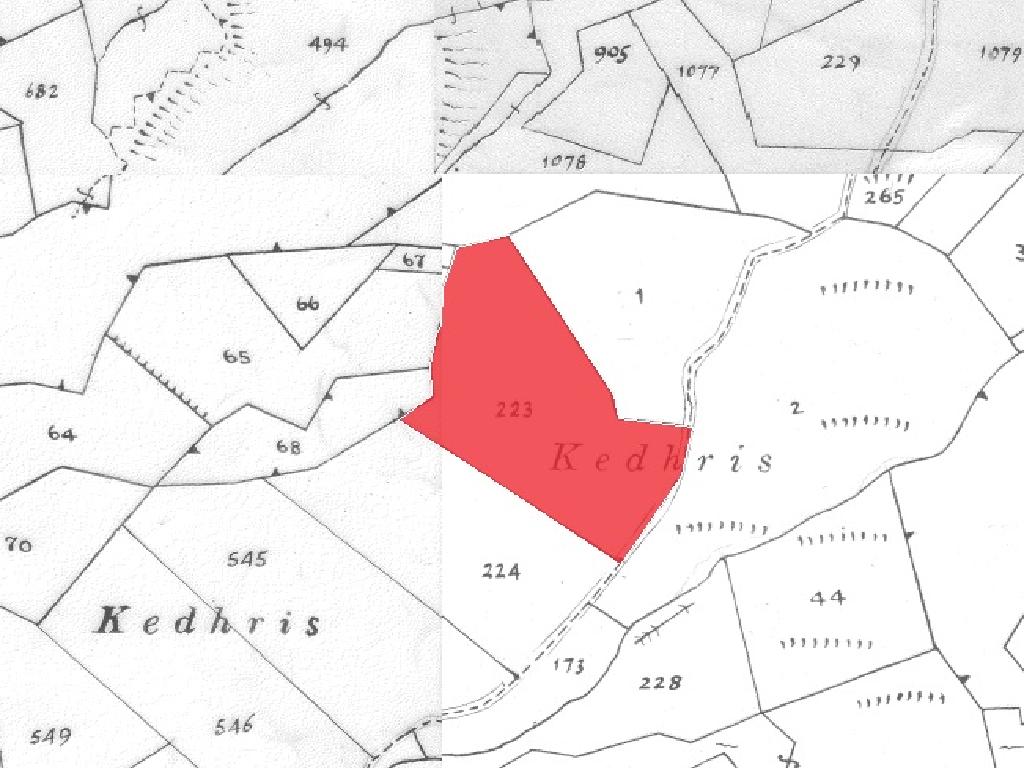 Field - Lythrodonta, Nicosia