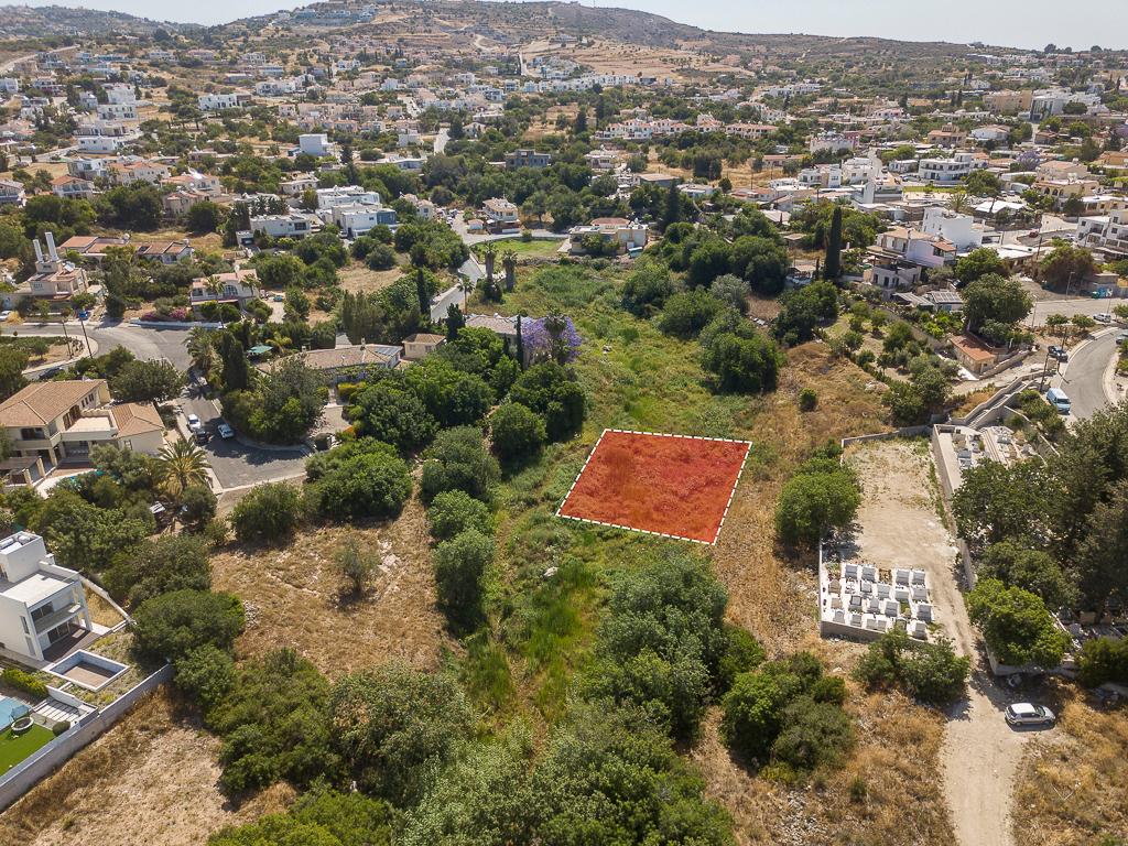 Field - Konia, Paphos