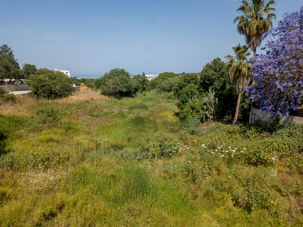 Field-Konia-PR42200