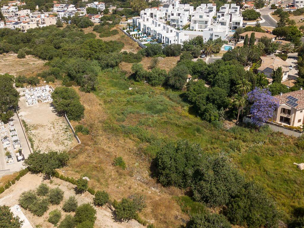 Field - Konia, Paphos