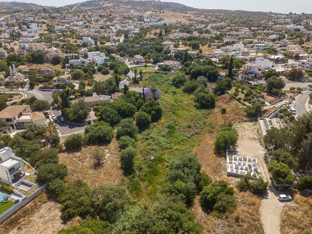 Field - Konia, Paphos