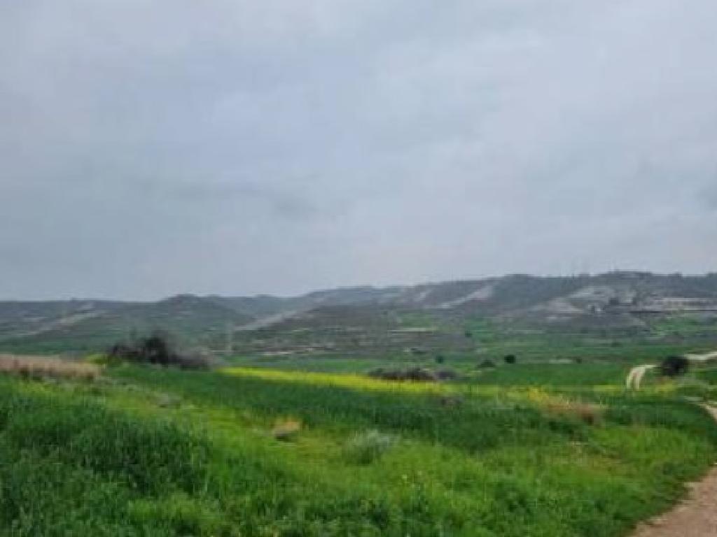 Field-Aradippou-PR42428