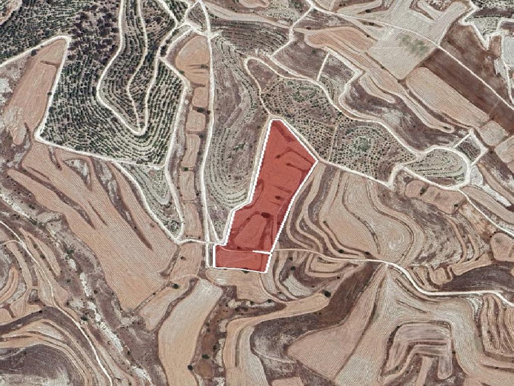 Field-Aradippou-PR42428