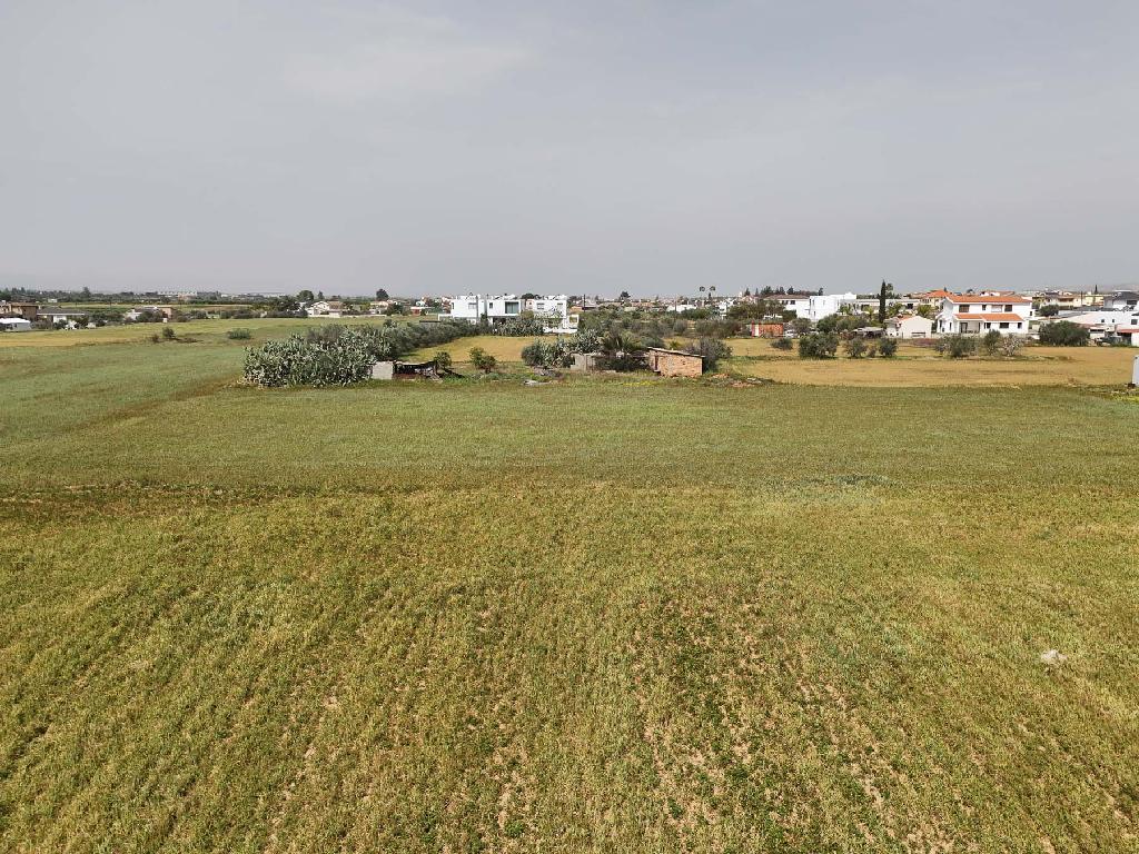 Field-Kokkinotrimithia-PR42635
