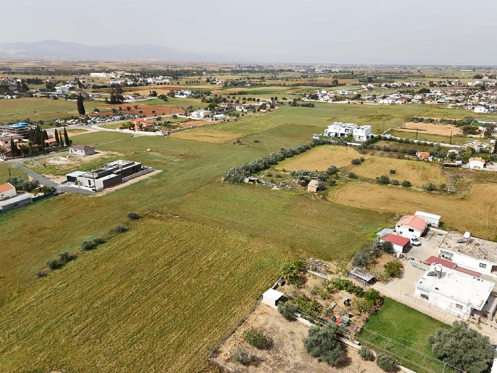 Field-Kokkinotrimithia-PR42635