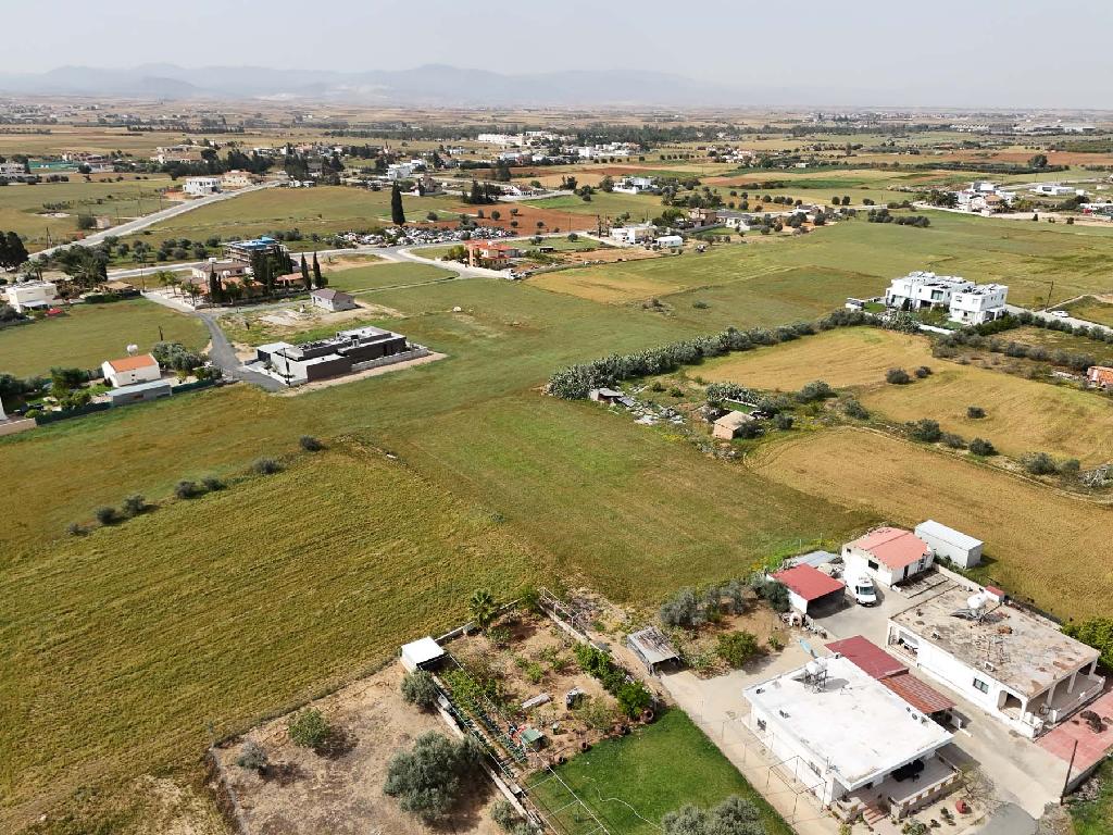 Field-Kokkinotrimithia-PR42635