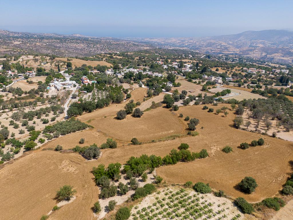 Field - Pano Akourdaleia, Paphos