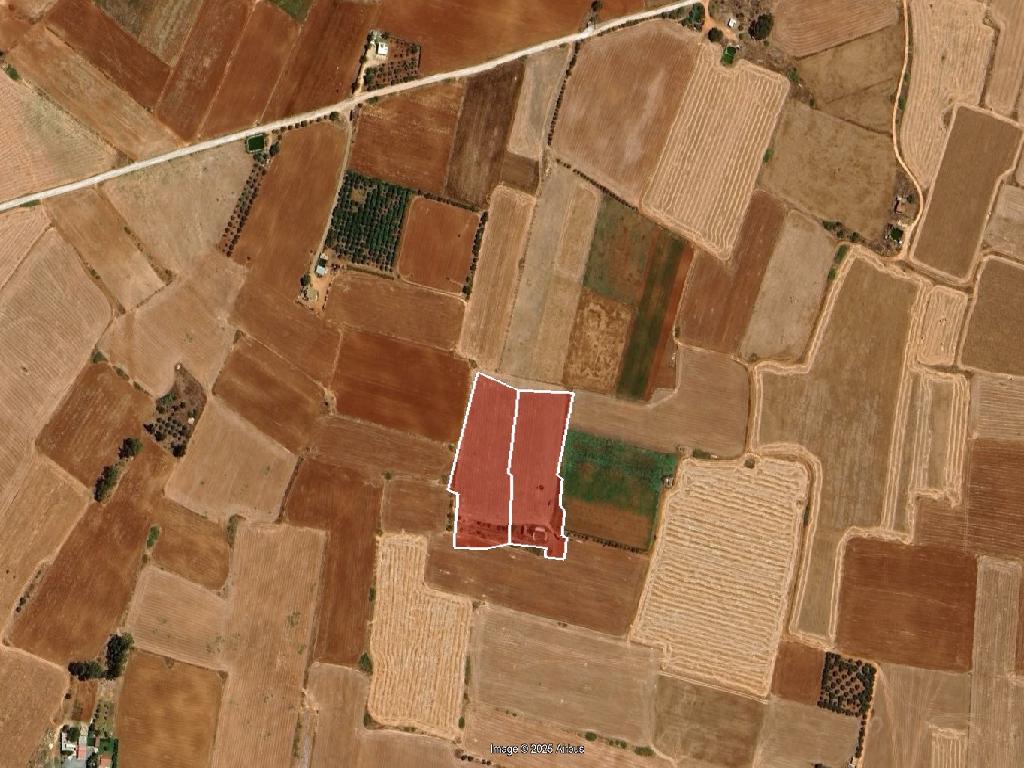 Field - Avgorou, Famagusta