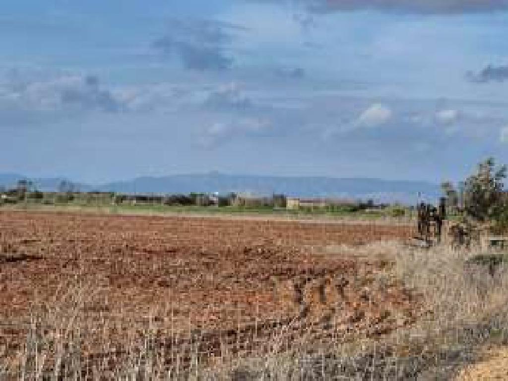 Field - Avgorou, Famagusta