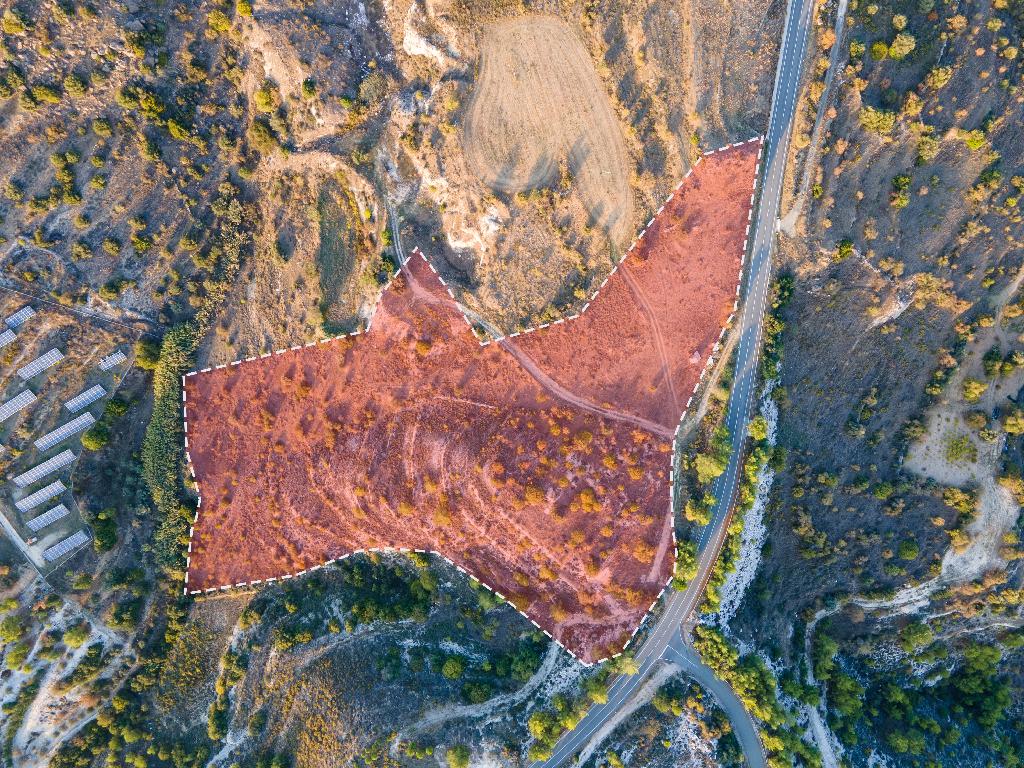 Field-Pentalia-PR11634