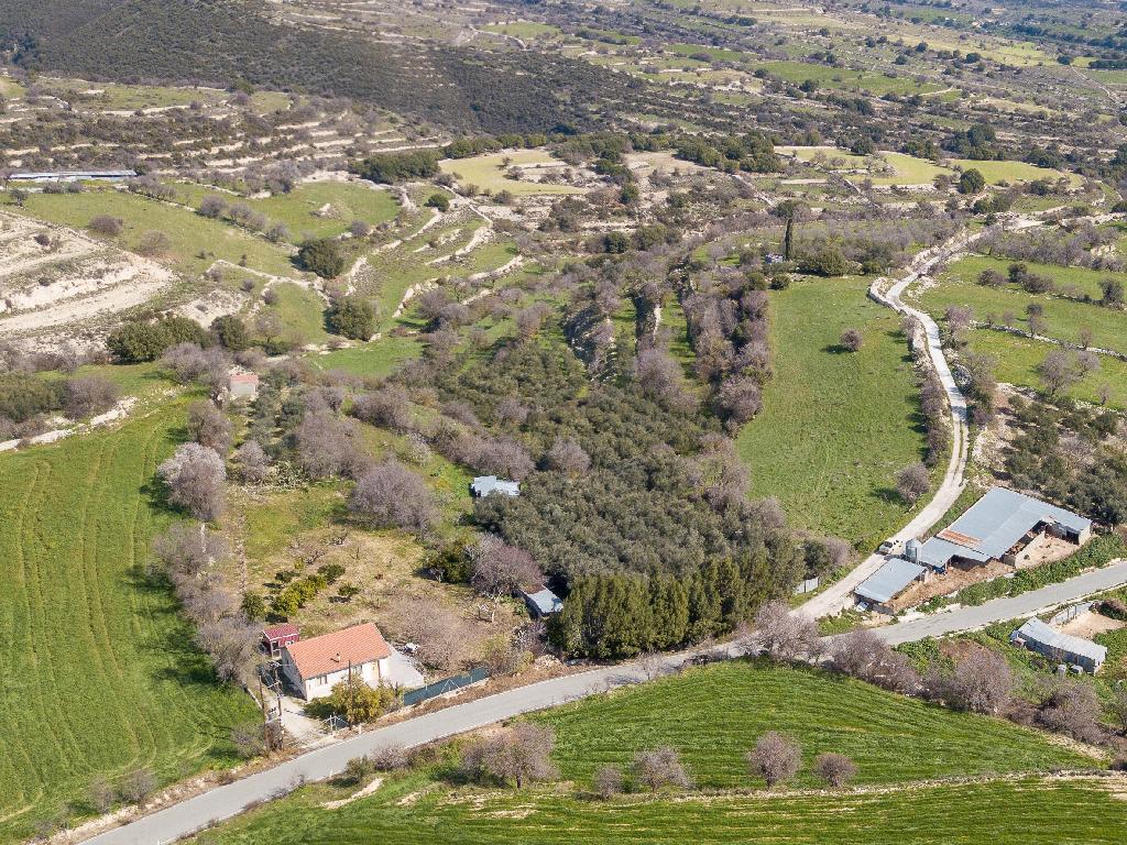 Field-Dora-PR12938