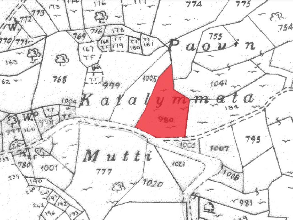 Field-Dora-PR12938