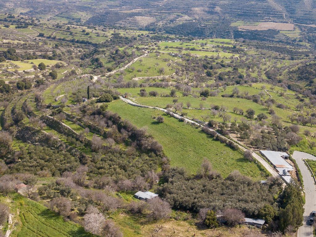 Field-Dora-PR12938