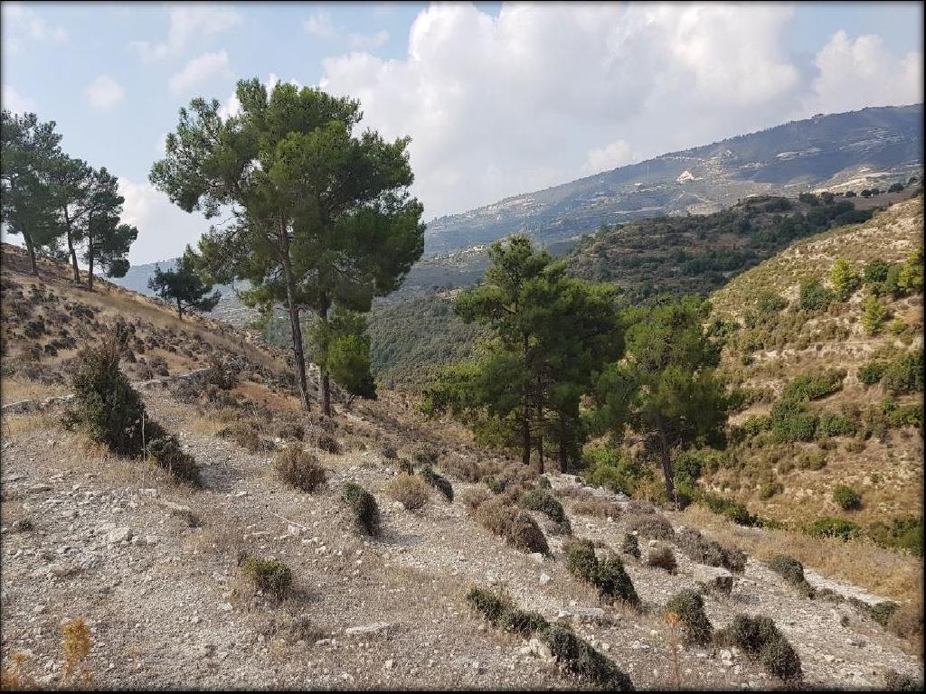 Χωράφι - Άγιος Θεράπων, Λεμεσός