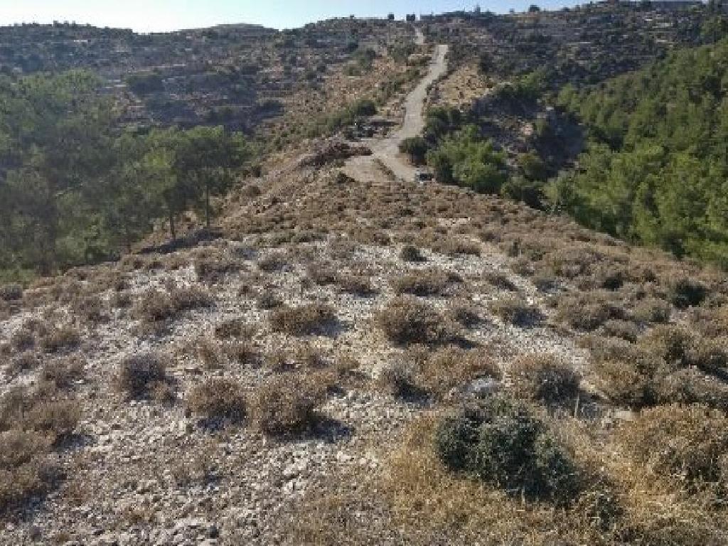 Χωράφι - Άγιος Θεράπων, Λεμεσός