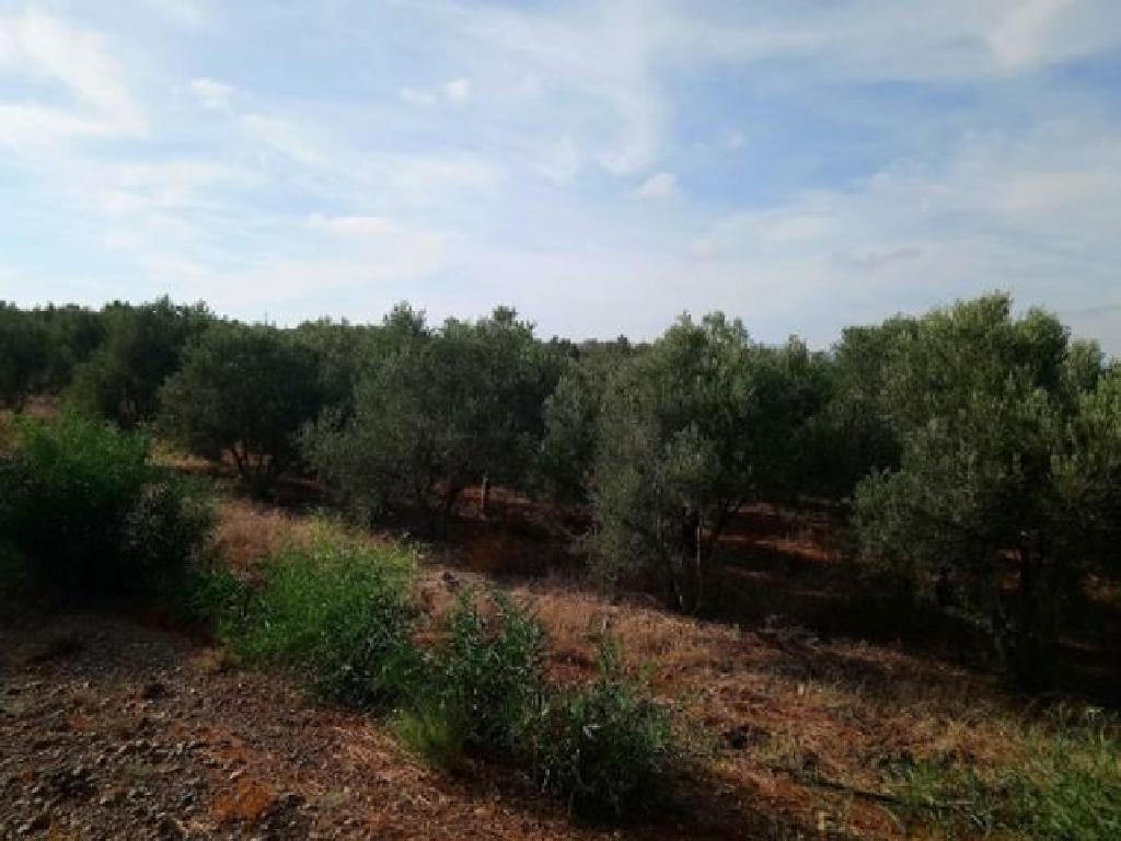 Field-Astromeritis-PR14930