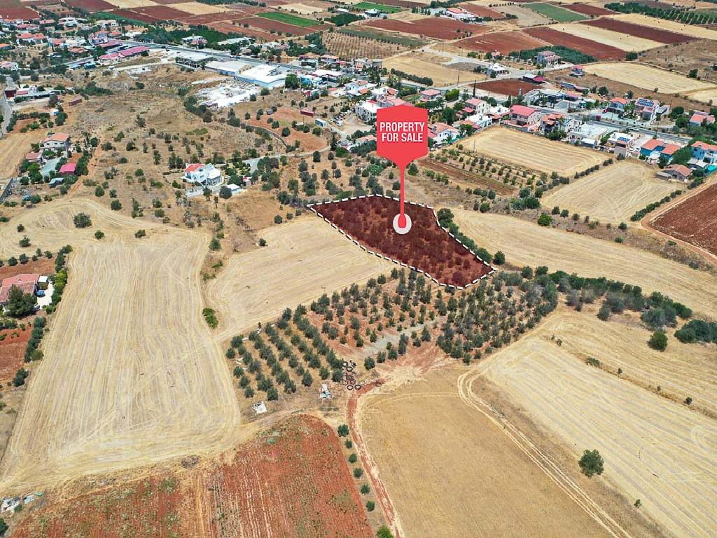 Field - Astromeritis, Nicosia