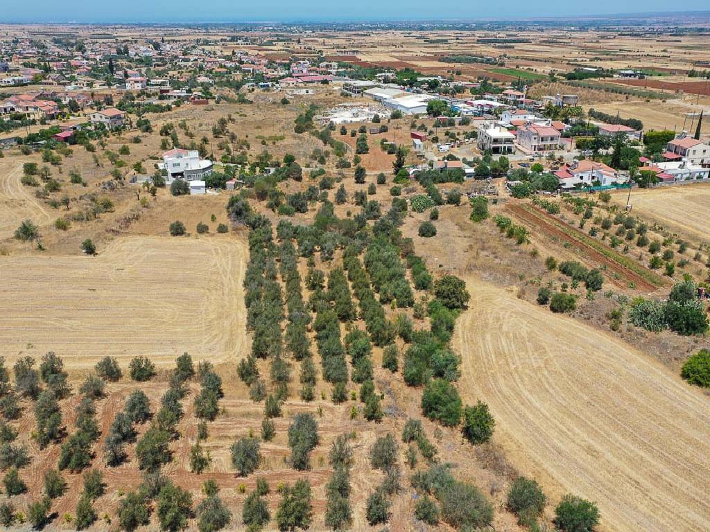 Field - Astromeritis, Nicosia