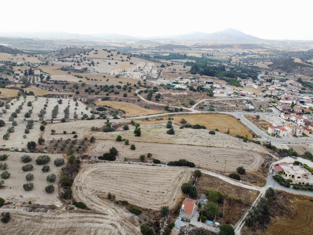 Field - Alaminos, Larnaca