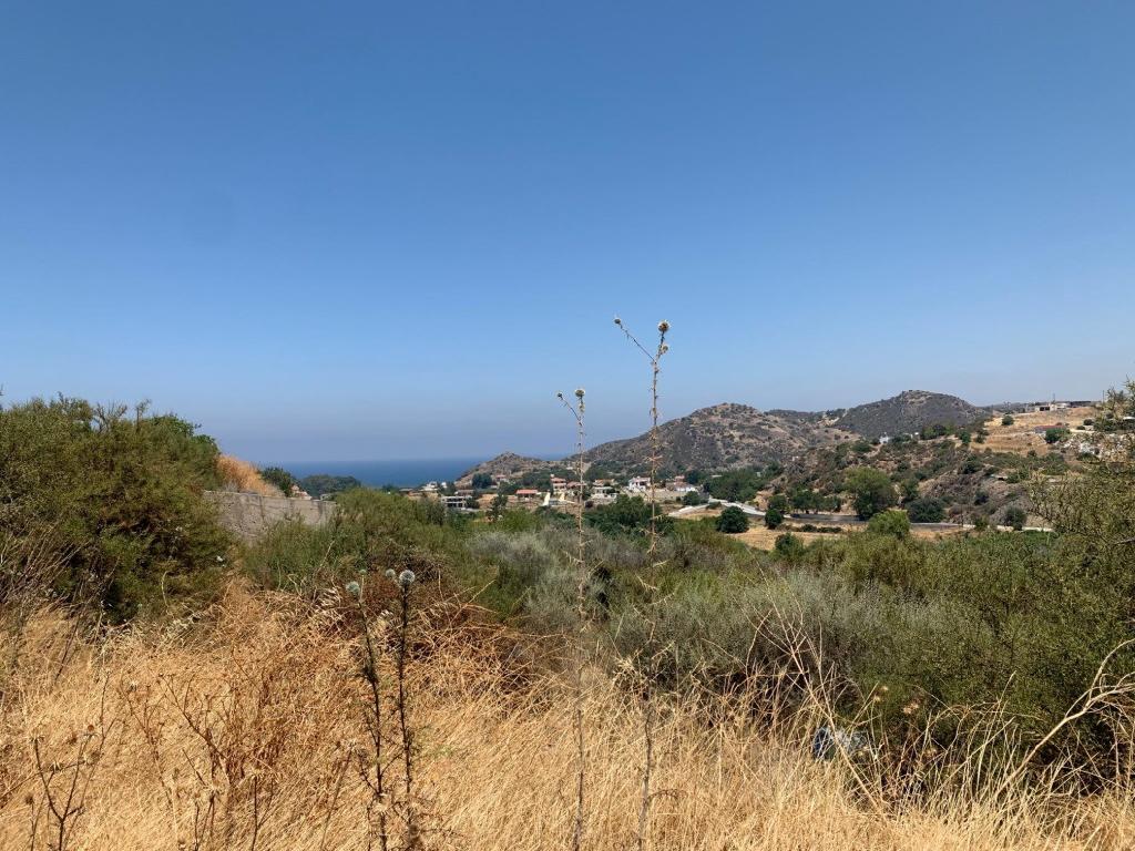 Field-Kato Pyrgos-PR33694