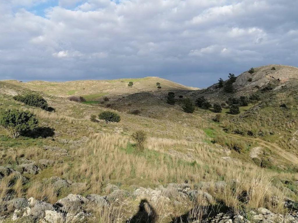 Field-Alambra-PR34642