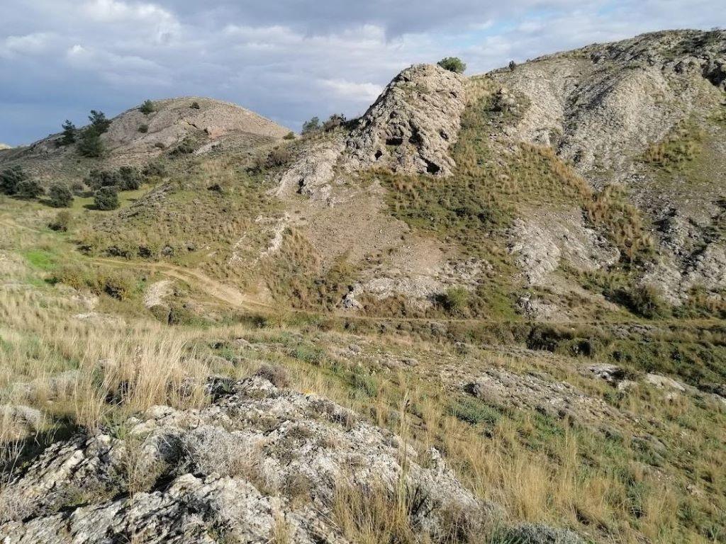 Field-Alambra-PR34642