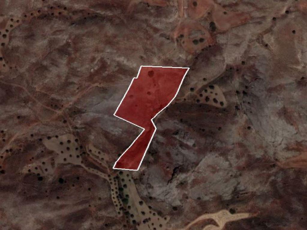 Field-Alambra-PR34642