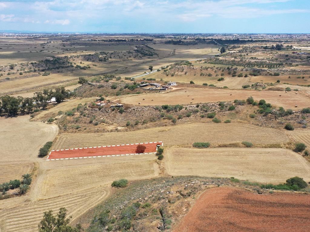 Field-Avgorou-PR34403