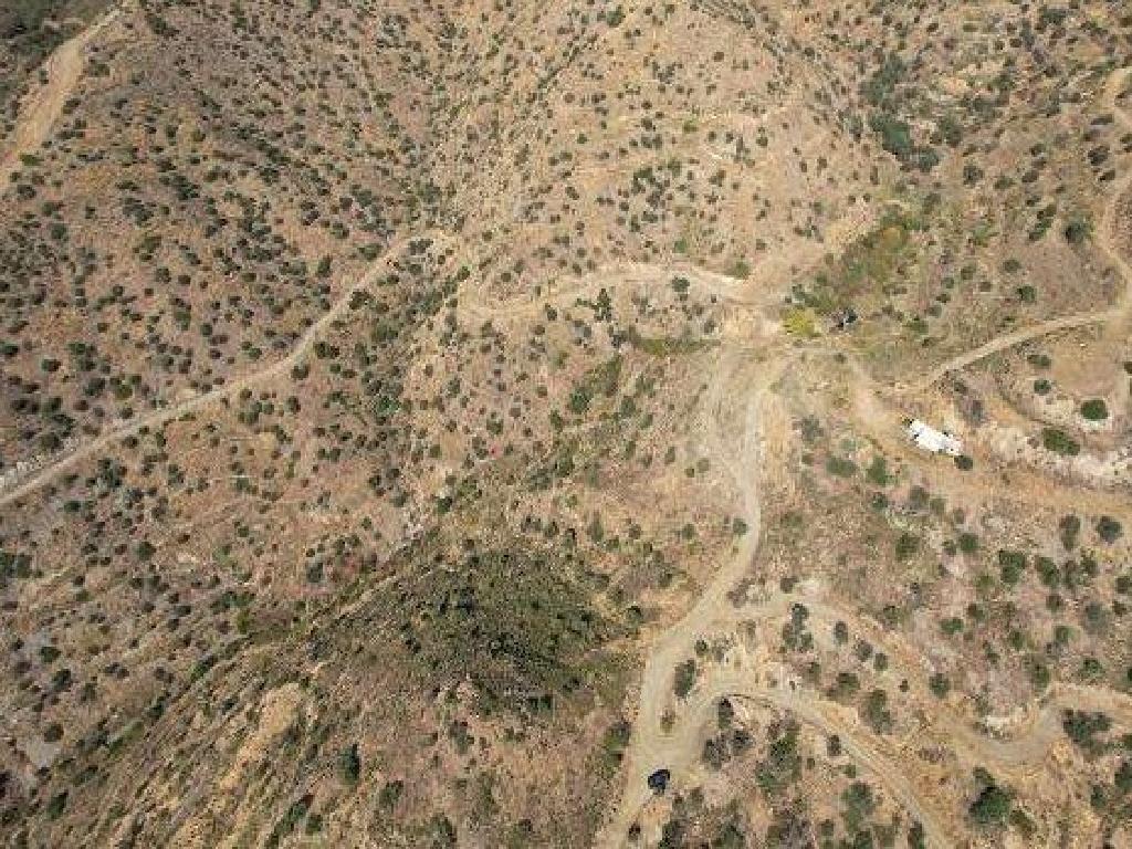 Field-Ora-PR36398