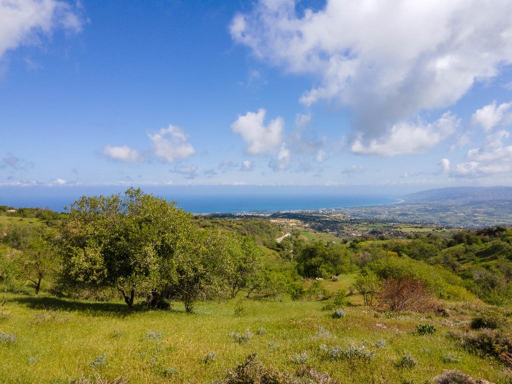 Field-Drouseia-PR36778