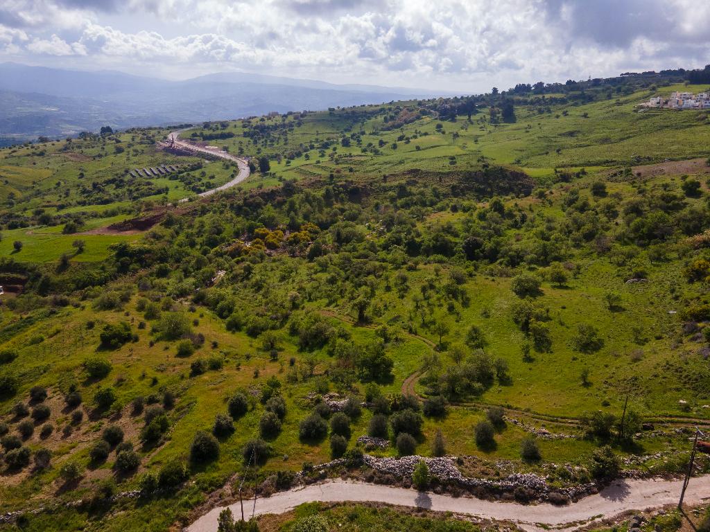 Field-Drouseia-PR36778