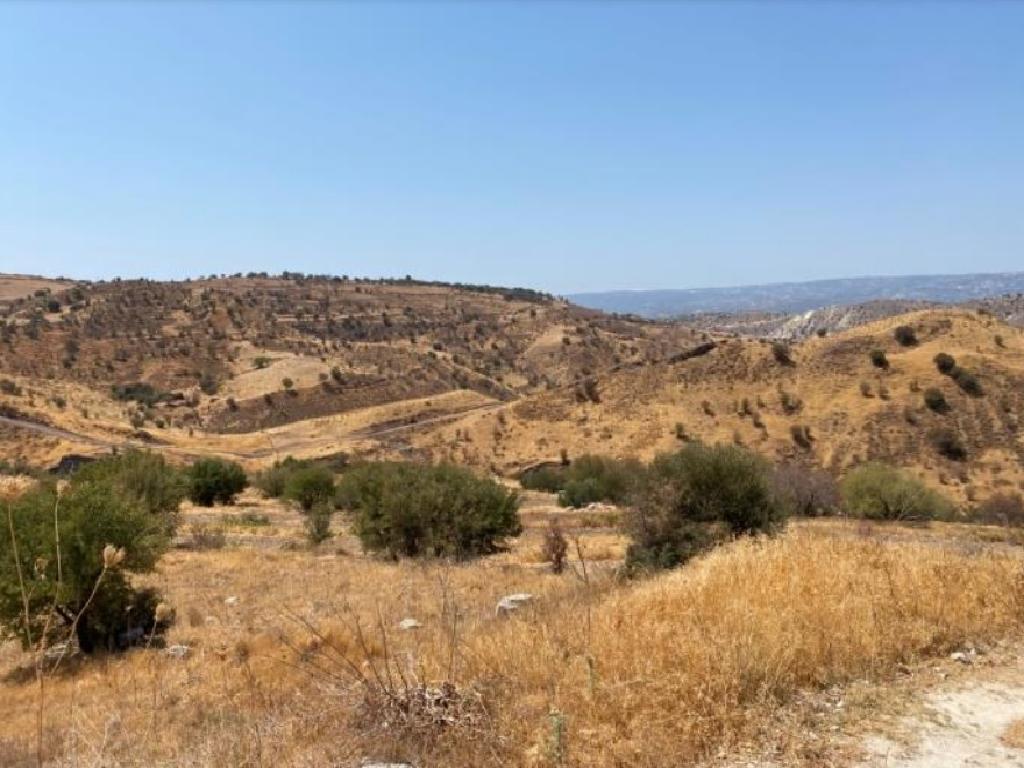 Field-Statos - Agios Fotios-PR37280