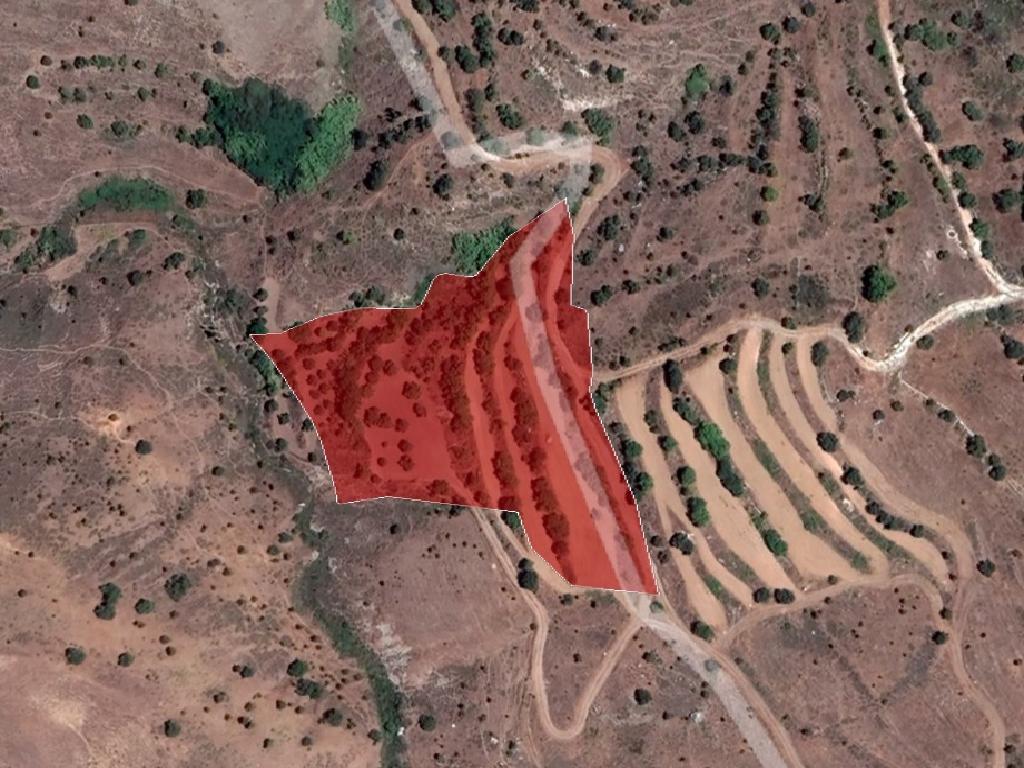 Field-Statos - Agios Fotios-PR37280