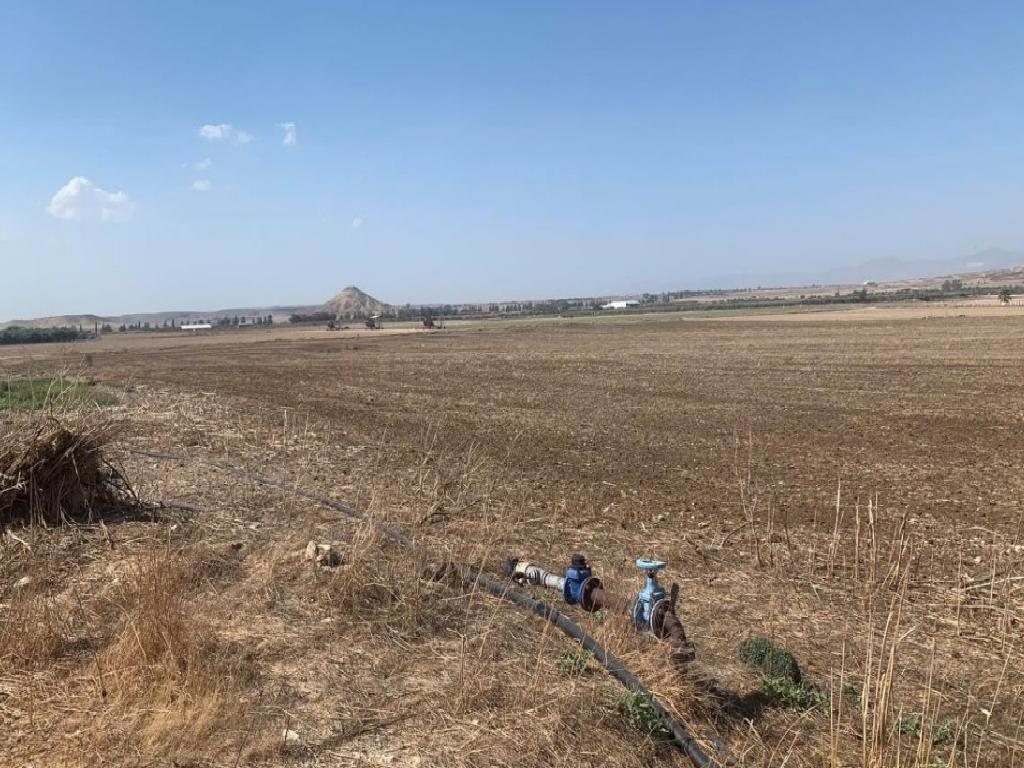 Field - Athienou, Larnaca