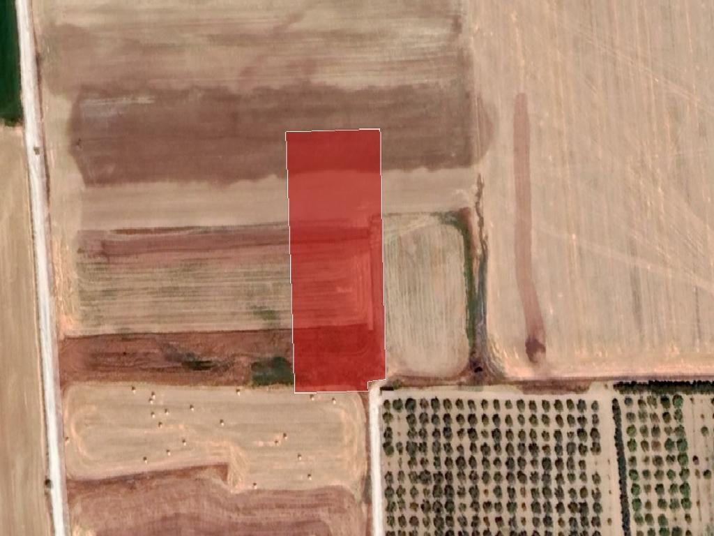 Field - Athienou, Larnaca
