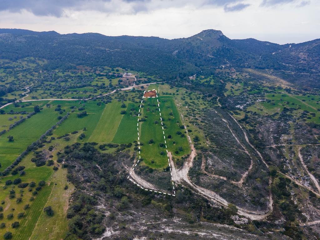 Field (Share) - Neo Chorio, Paphos